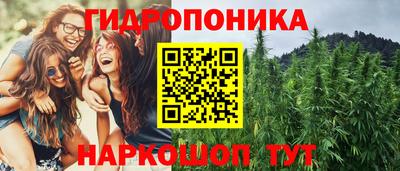 ГАЛЛЮЦИНОГЕННЫЕ ГРИБЫ Лесосибирск