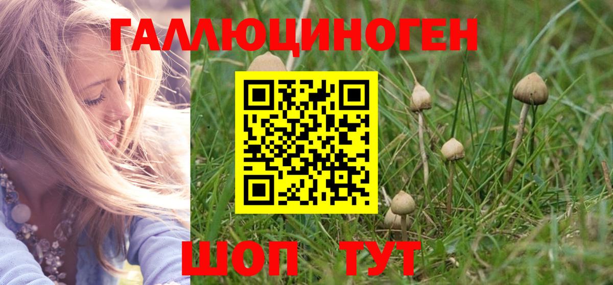 Галлюциногенные грибы мухоморы Усинск