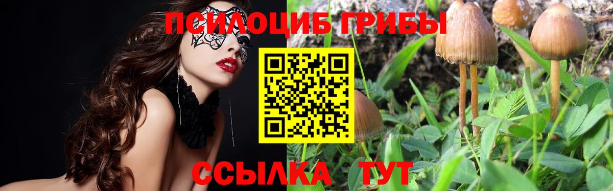 Галлюциногенные грибы MAGIC MUSHROOMS  Вход с VPN  Усинск 